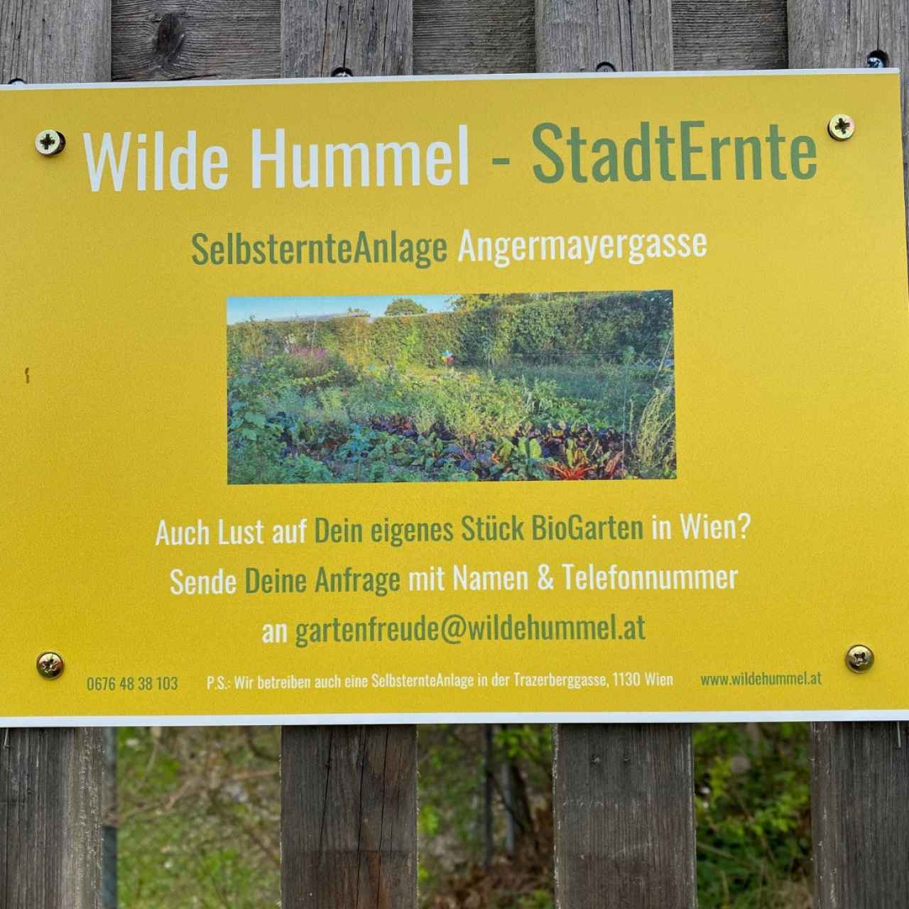 wilde-hummel-8-1280x1280-crop-52-48.jpg